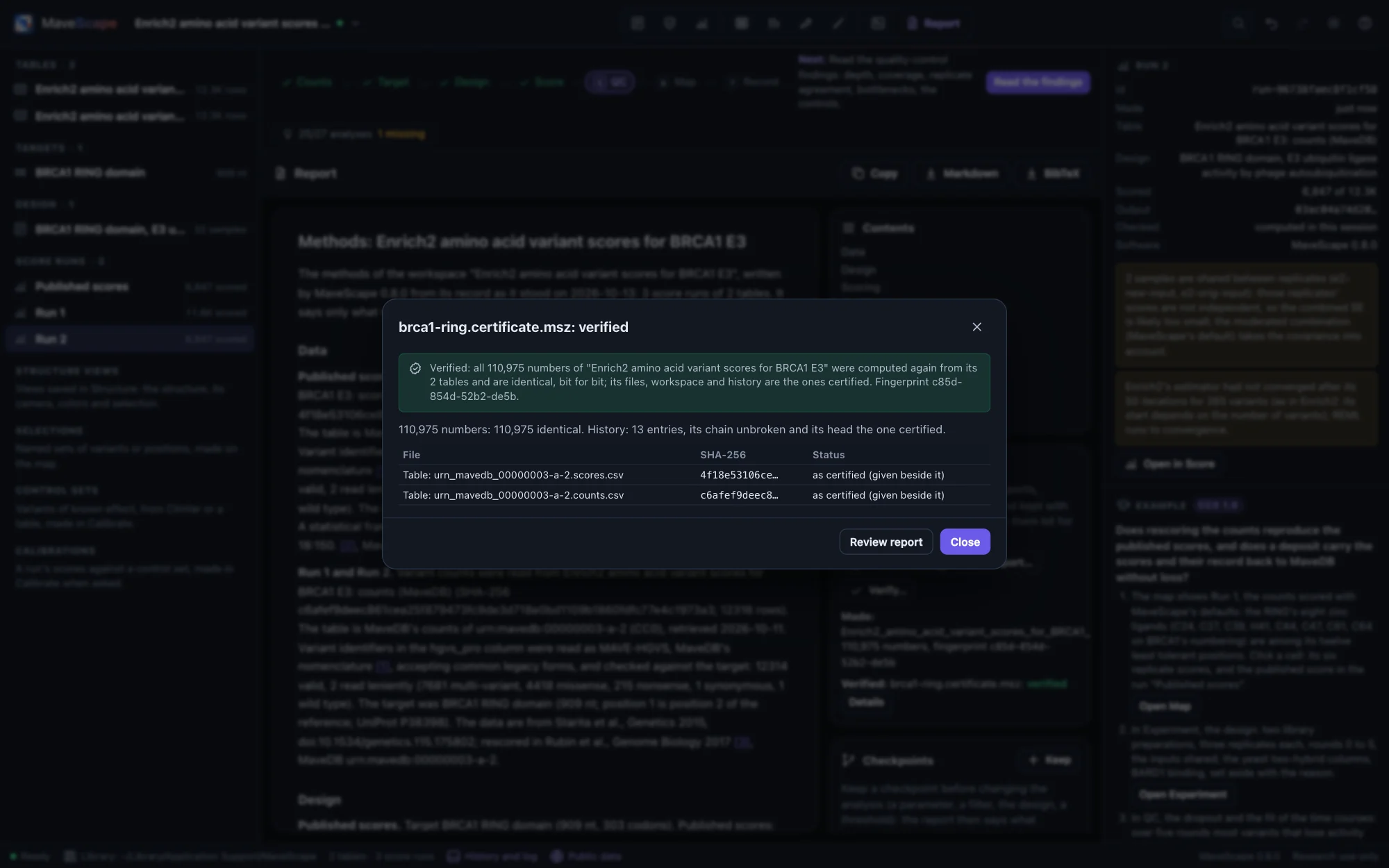 The Report view with the verification of BRCA1 RING's certificate made without its tables: all 110,975 numbers computed again from MaveDB's two tables, given beside it, and identical, bit for bit; the two tables listed as supplied; the Certificate pane beside the report