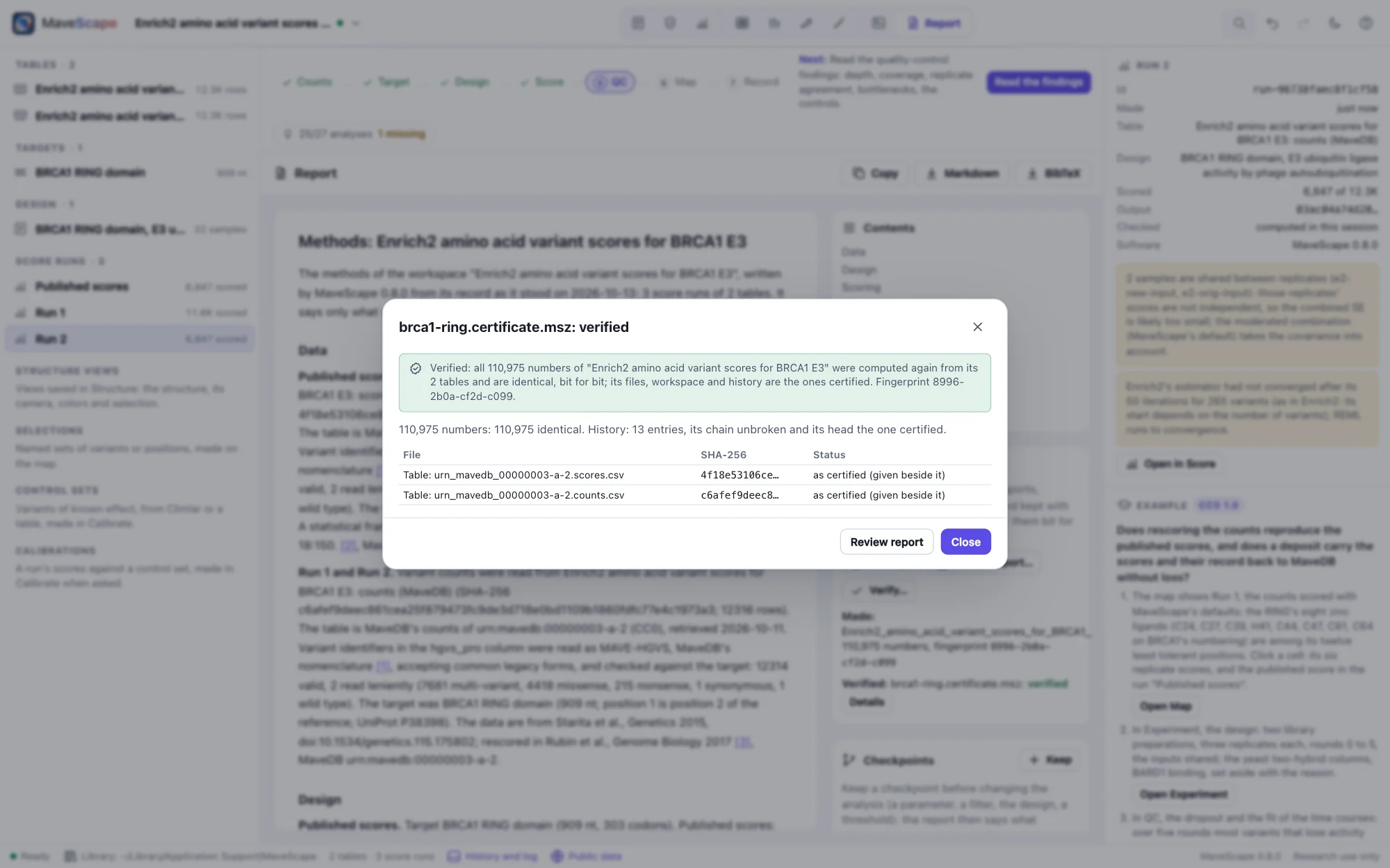 The Report view with the verification of BRCA1 RING's certificate made without its tables: all 110,975 numbers computed again from MaveDB's two tables, given beside it, and identical, bit for bit; the two tables listed as supplied; the Certificate pane beside the report