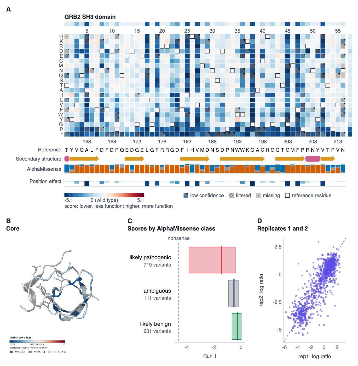 A figure two columns wide as MaveScape exports it: A, GRB2's variant-effect map, 56 positions by 21 substitutions, with the target's sequence, its secondary structure, AlphaMissense and each position's effect below it, the color bar and the key to the cells' states; B, the SH3 domain on 2VWF colored by the median score with its legend; C, the measured scores of the likely pathogenic, ambiguous and likely benign substitutions, with the nonsense median; D, replicate 2's log ratios against replicate 1's