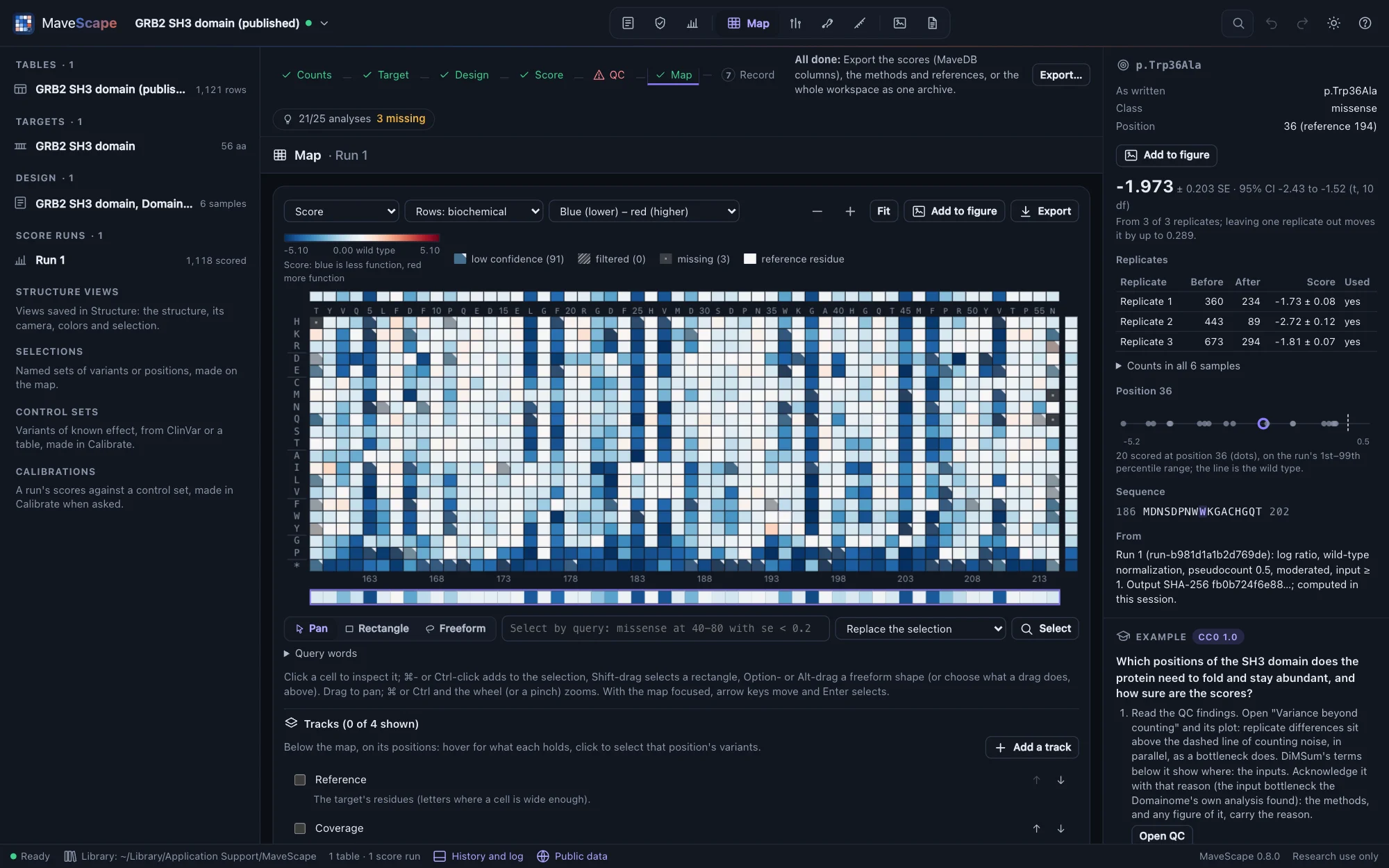 The Map view of MaveScape: the variant-effect map of the GRB2 SH3 domain, 56 positions by 21 substitutions colored from less abundant (blue) to more (red), with the evidence for p.Trp36Ala in the inspector: its score with SE and 95% interval and each replicate's counts