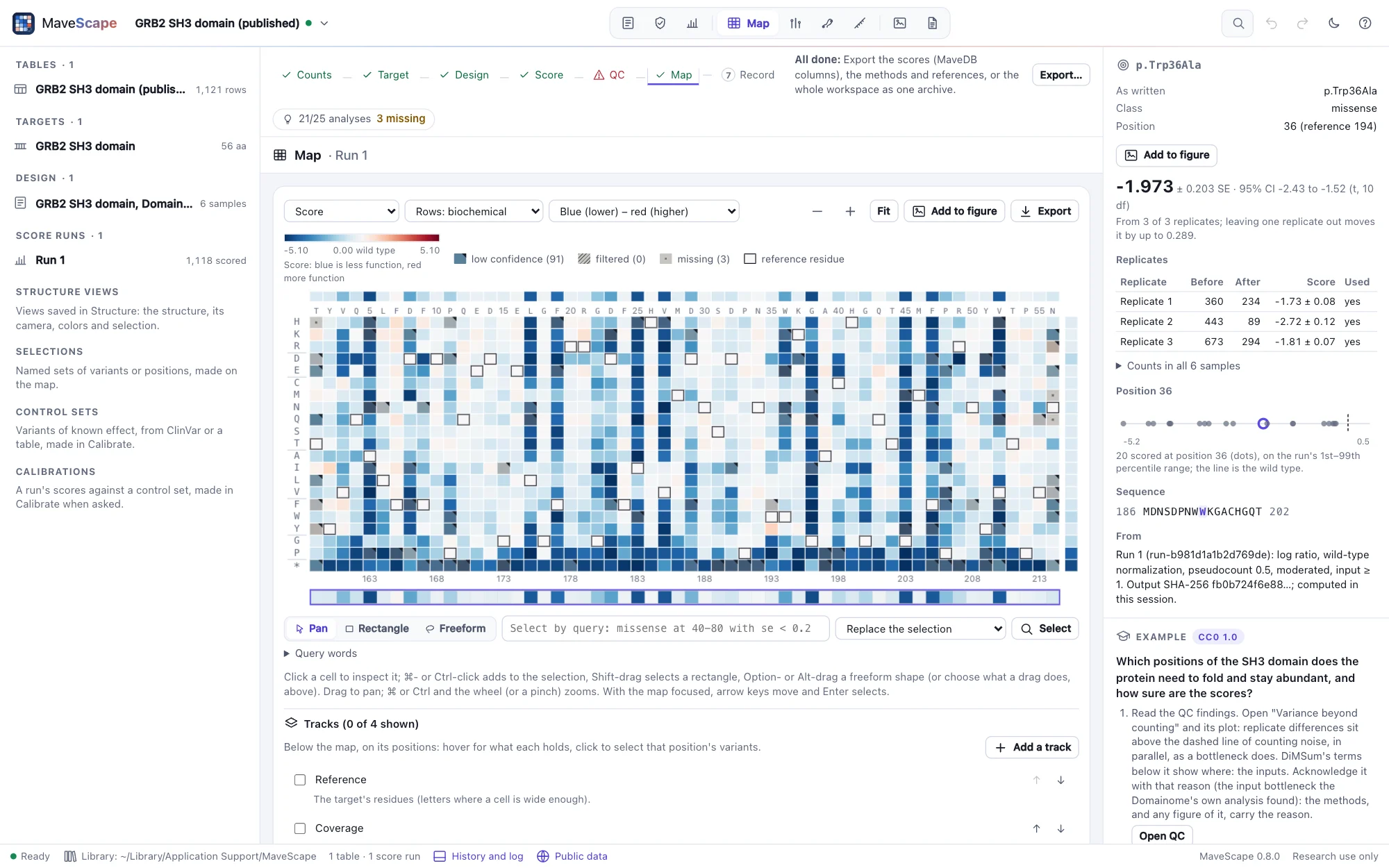 The Map view of MaveScape: the variant-effect map of the GRB2 SH3 domain, 56 positions by 21 substitutions colored from less abundant (blue) to more (red), with the evidence for p.Trp36Ala in the inspector: its score with SE and 95% interval and each replicate's counts
