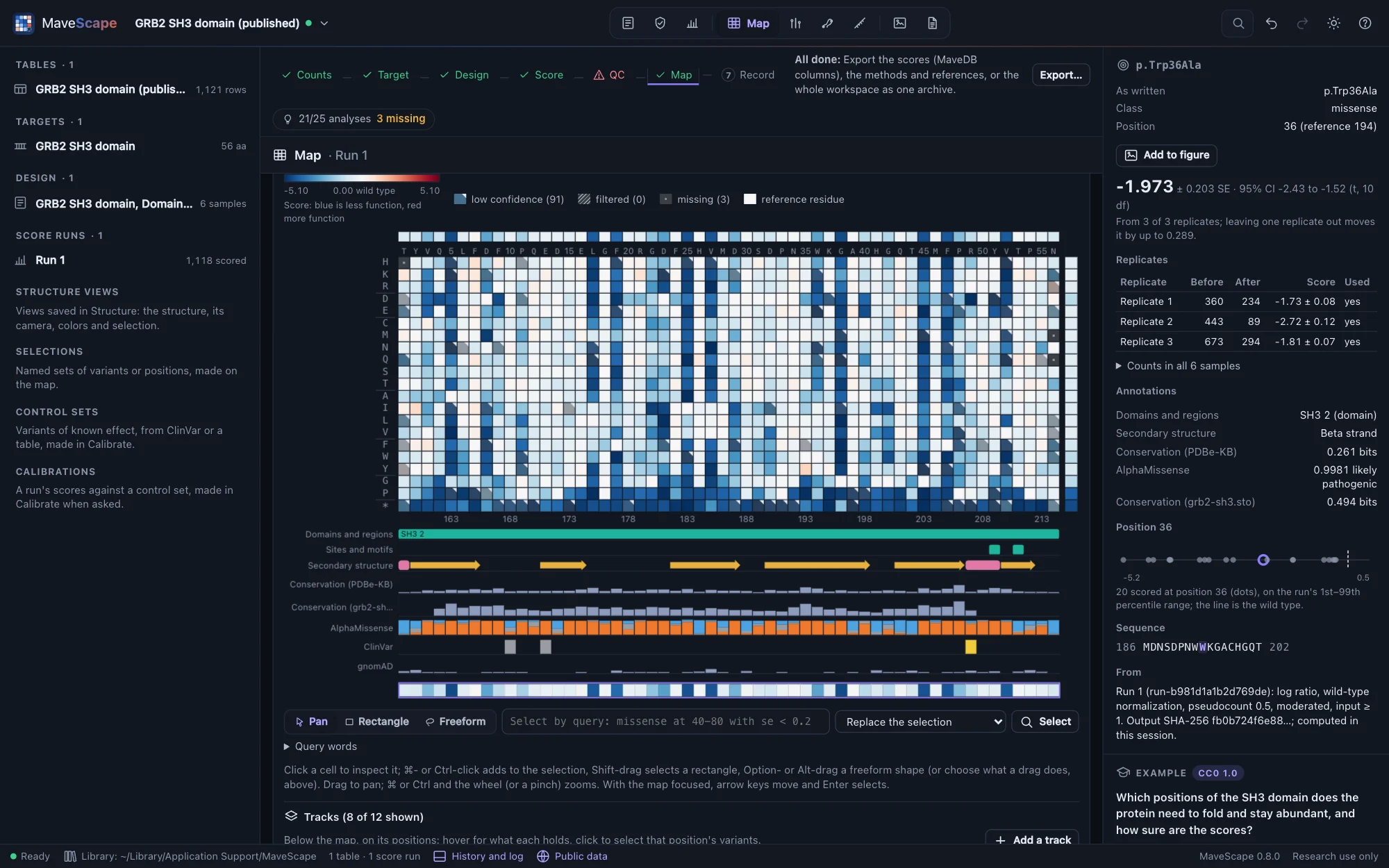 The GRB2 example's map with tracks below it, on its positions: UniProt's SH3 domain, its sites and its strands and helices; conservation from PDBe-KB and from an alignment; AlphaMissense's classes at each position; ClinVar's three records; gnomAD's frequencies. Below them the Tracks panel; the inspector shows p.Trp36Ala's annotations: the SH3 2 domain, a beta strand, its conservation and AlphaMissense's 0.9981, likely pathogenic