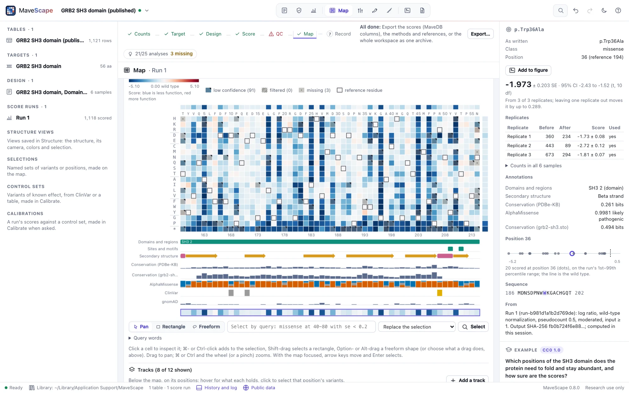 The GRB2 example's map with tracks below it, on its positions: UniProt's SH3 domain, its sites and its strands and helices; conservation from PDBe-KB and from an alignment; AlphaMissense's classes at each position; ClinVar's three records; gnomAD's frequencies. Below them the Tracks panel; the inspector shows p.Trp36Ala's annotations: the SH3 2 domain, a beta strand, its conservation and AlphaMissense's 0.9981, likely pathogenic