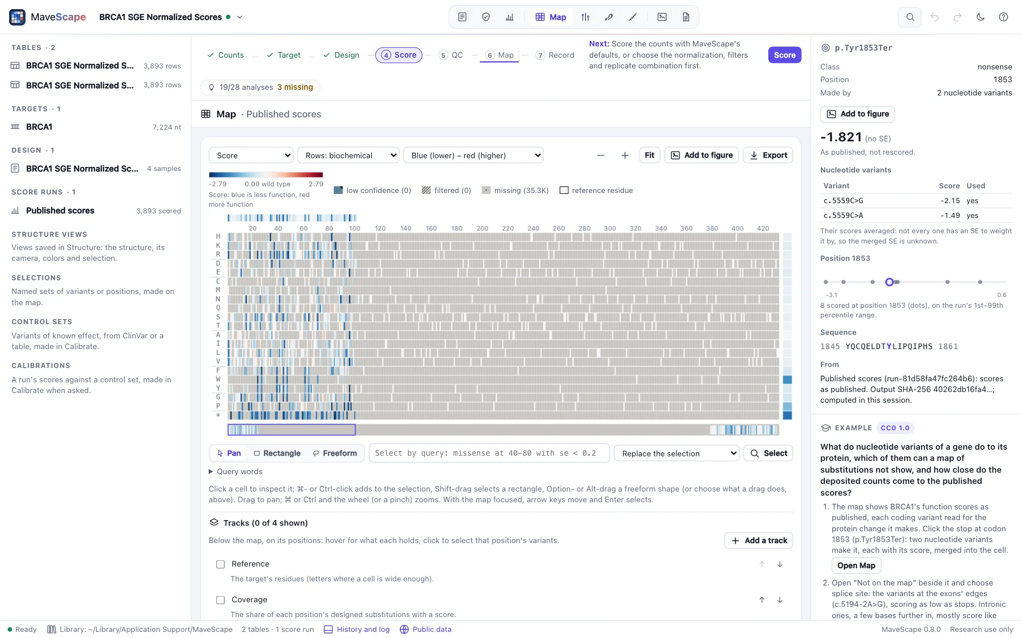 The inspector for p.Tyr1853Ter of BRCA1's saturation genome editing: a nonsense variant at position 1853, made by two nucleotide variants, c.5559C>G at −2.15 and c.5559C>A at −1.49, averaged to −1.82