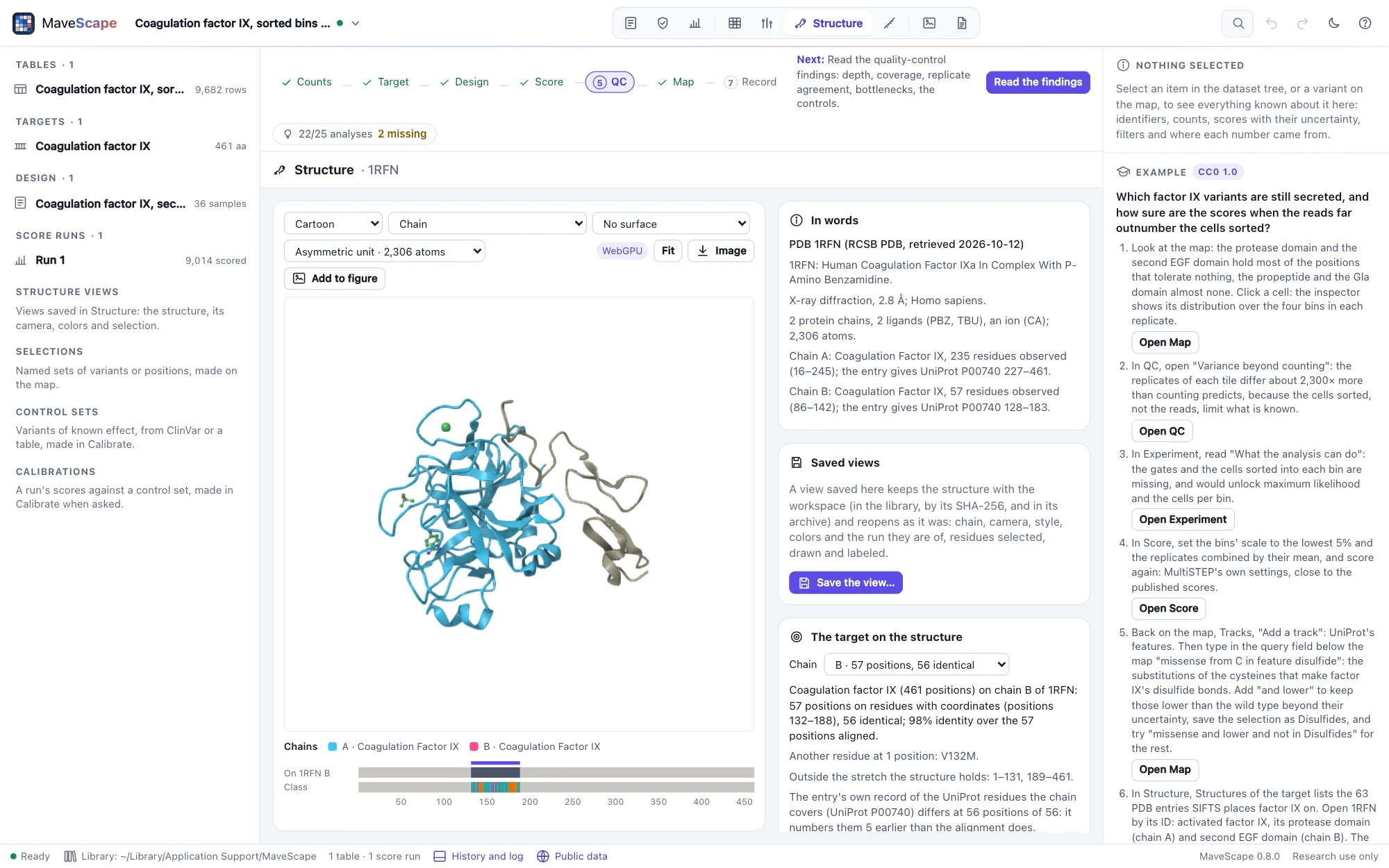 The Structure view of factor IX's 1RFN with the pane The target on the structure: chain B chosen, positions 132–188 on residues, 56 identical, V132M; outside 1–131 and 189–461; the entry's own record of the UniProt residues differs at 56 positions, numbering them 5 earlier than the alignment does